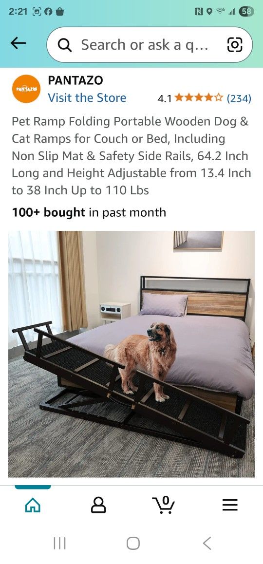 Dog Ramp