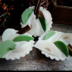 Soy tarts wax