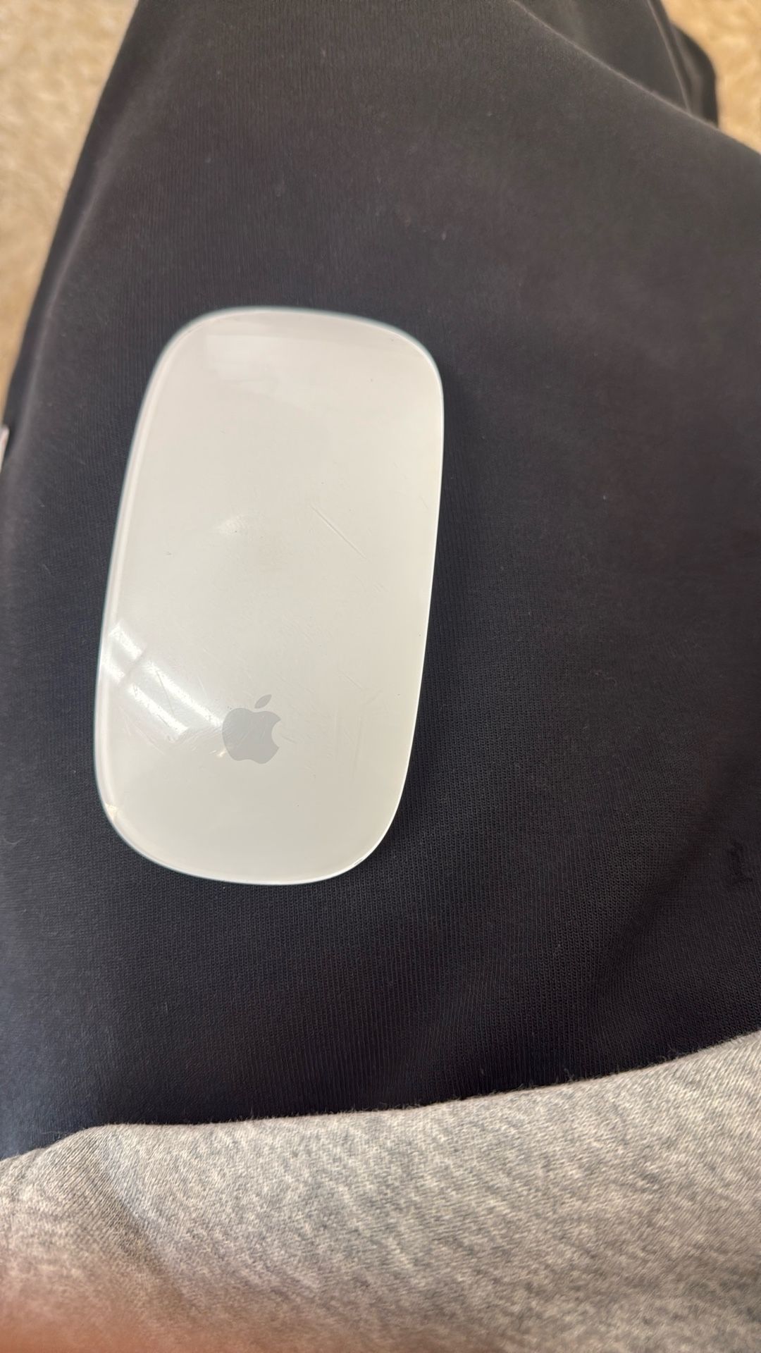 Apple Magic Mouse 