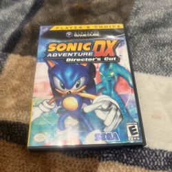 Sonic adventure Dx Directors cut