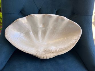 Shell decorative bowl