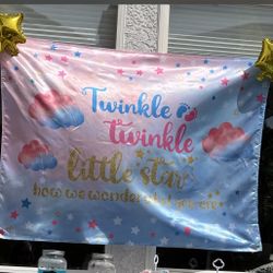 Gender Reveal Party Decor 