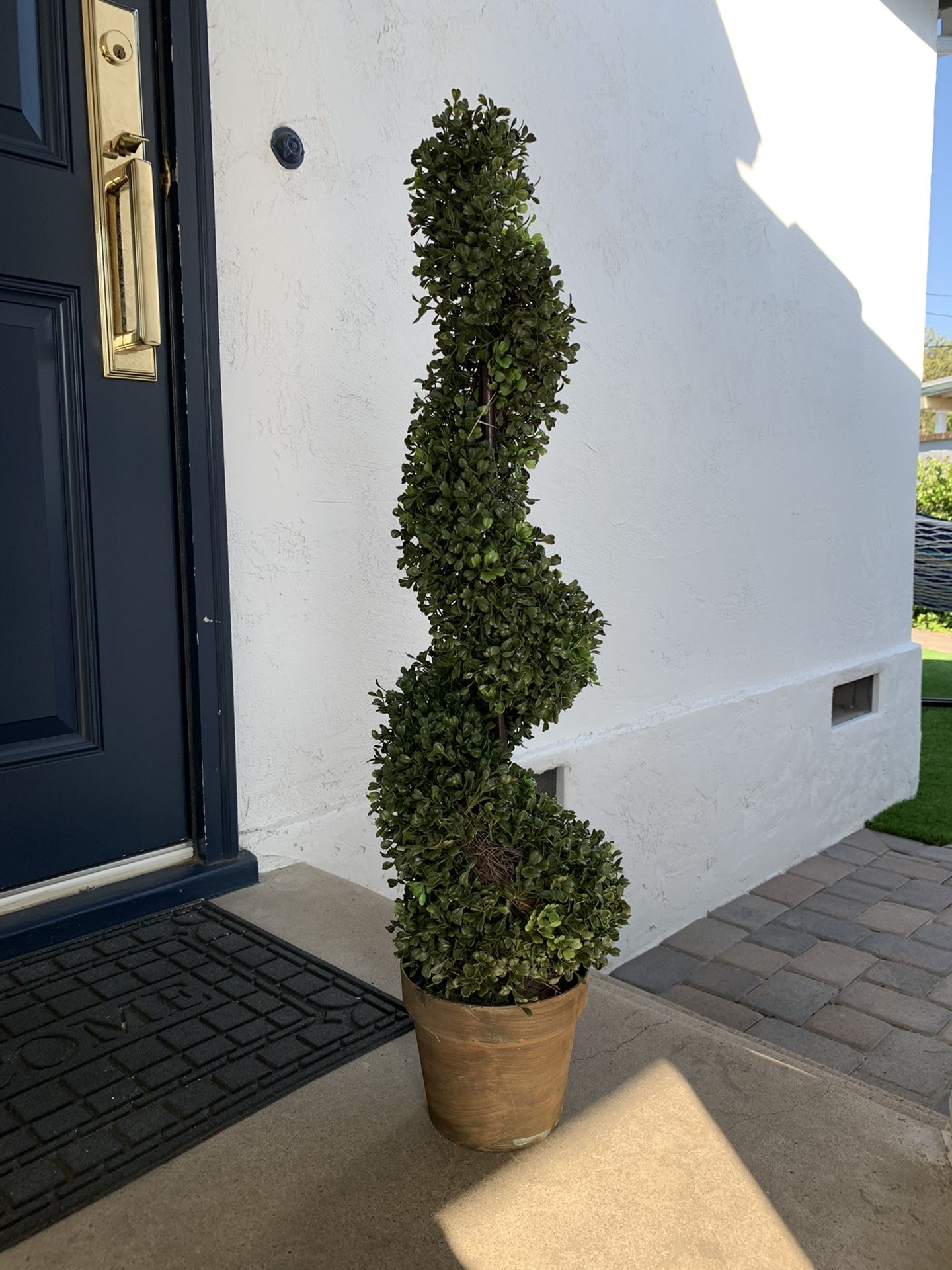 Two Brand New Spiral Topiaries