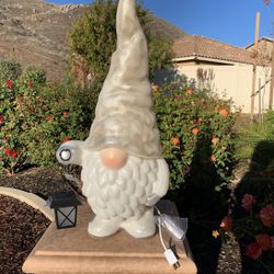 Gnome Light Up Blow Mold