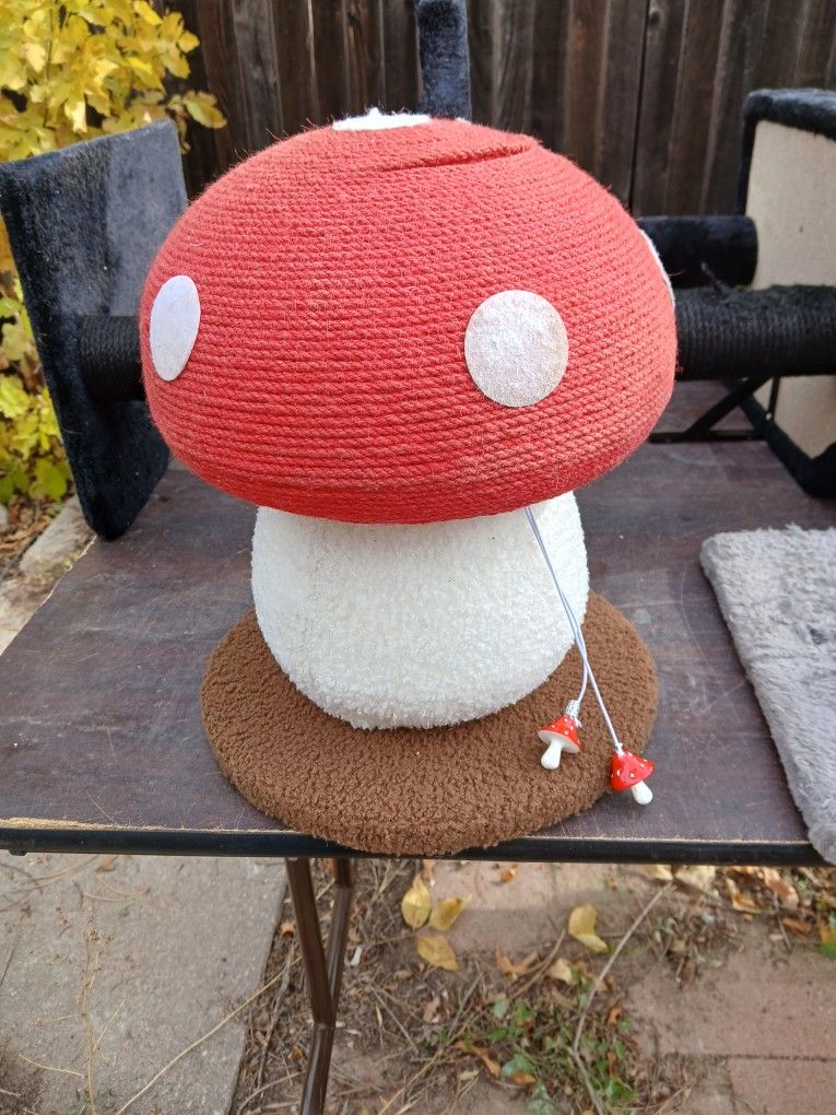 Mushroom Cat Scratcher