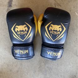 14 Oz Venom Boxing Gloves