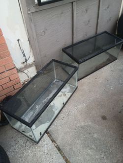 Reptile tanks