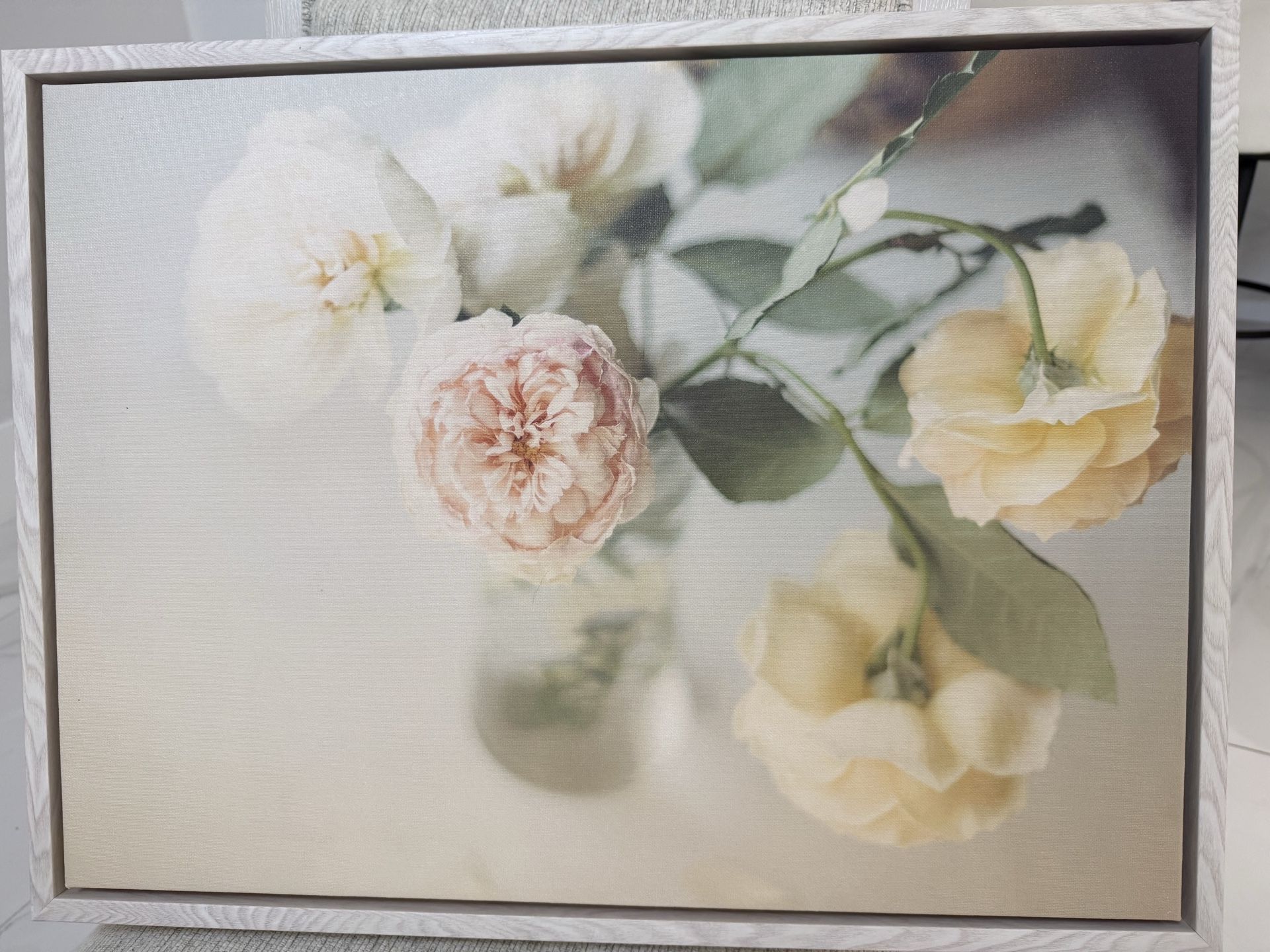 Framed canvas art