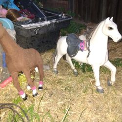 American Girl Doll 🐎