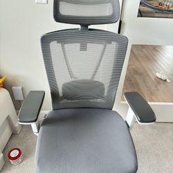Autonomous Chair