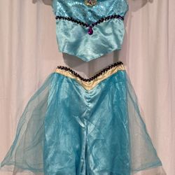 Disney's Aladdin Princess Jasmine nHalloween Costume