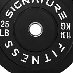  Bumper Plates