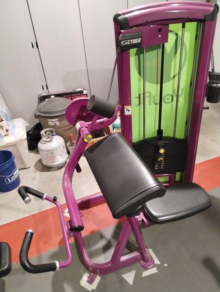 *SALE* Cybex Bicep Arm Curl Commercial Gym Machine