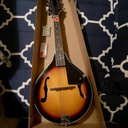 Rogue RM-100A A-Style Mandolin