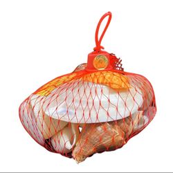 2 bags mixture of shells. No specific amount or type of shell. All polished.