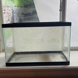 5 Gallon Aquarium With Window Frosting 