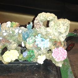 Rock 🪨🥌 For Fish 🐠🐟 Tank $50