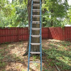 Werner Extension Ladder