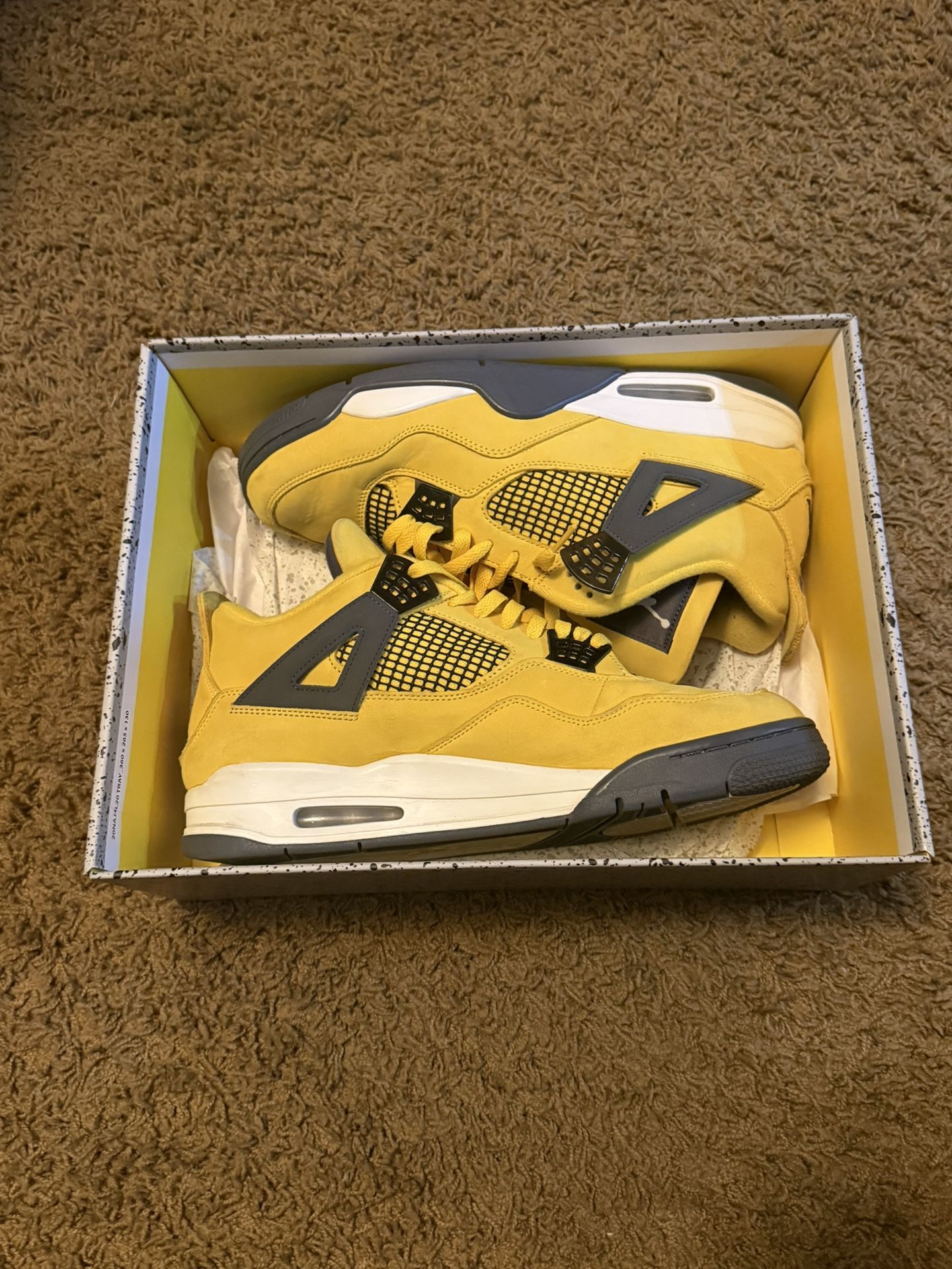 Air Jordan 4 Size 13
