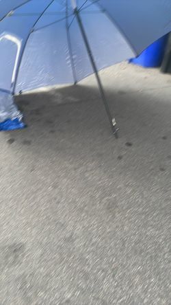Beach umbrella