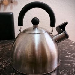 Stainless Steel Tea Kettle