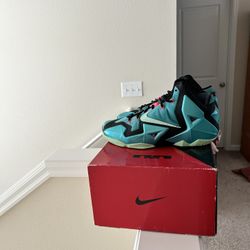 Lebron 11 South Beach 