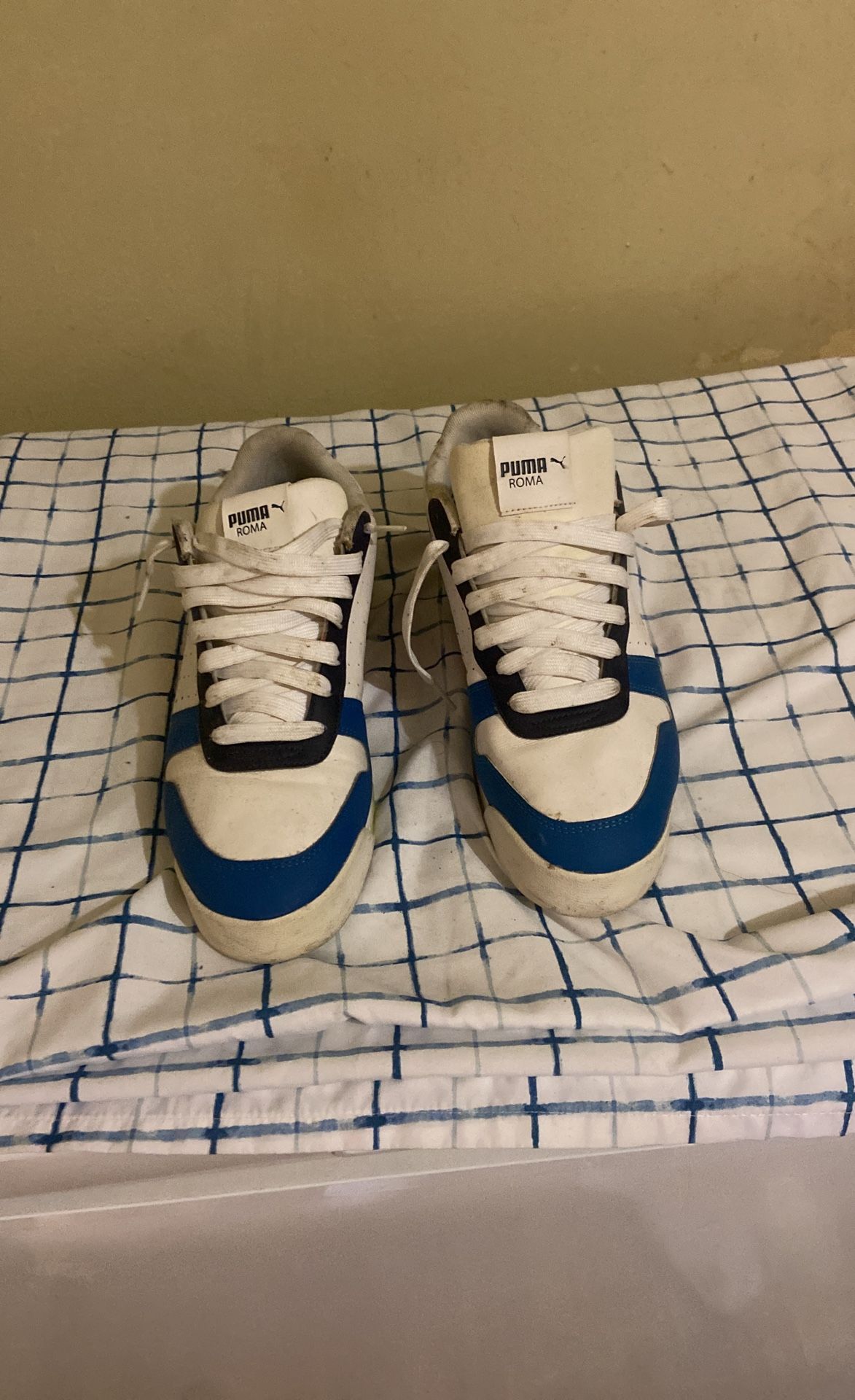 Puma