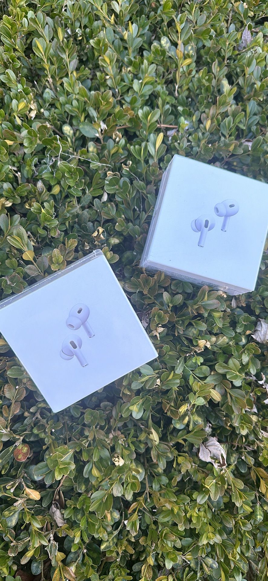 Phone Accessories