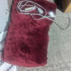 Twin Electric Blanket $10obo
