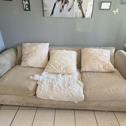 Free Couches