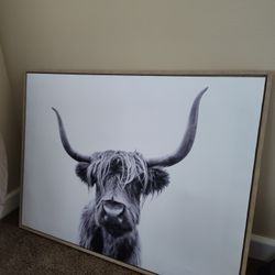 Cow Picture 