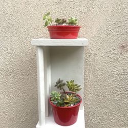 Shelf decor with real succulents