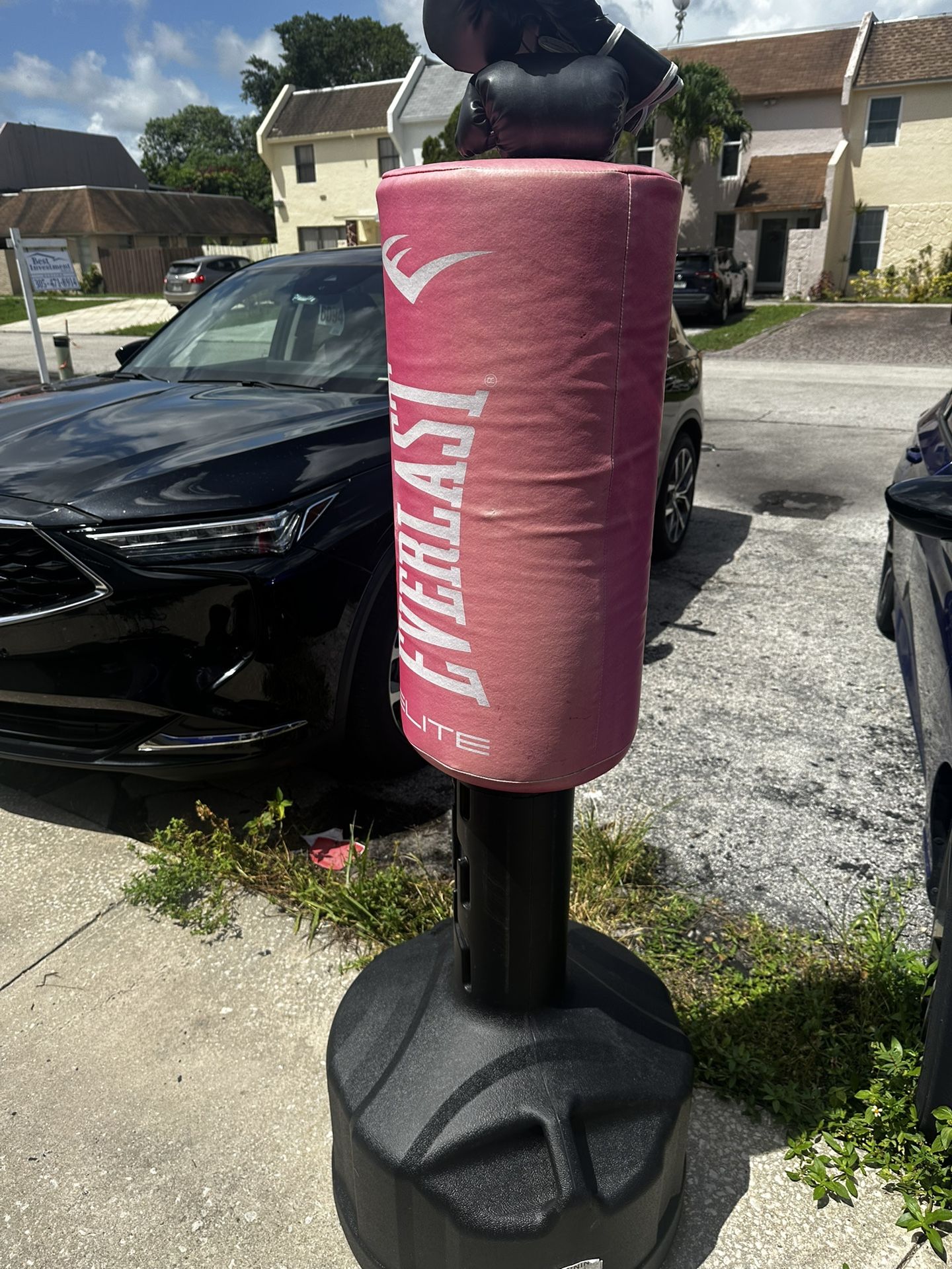 Everlast Punching Bag