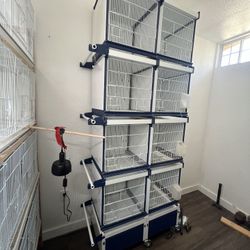 Italgabbie Cages