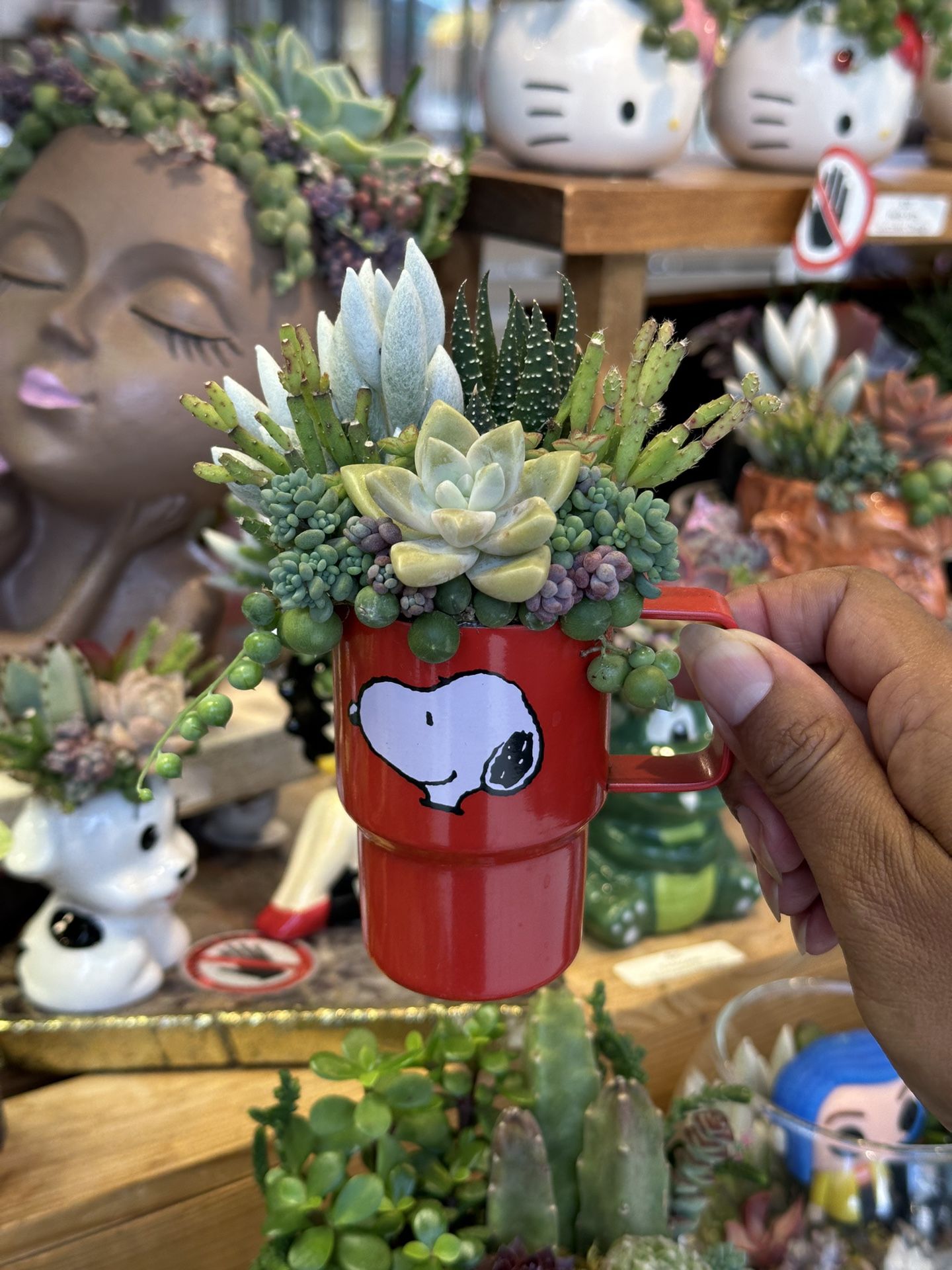 Snoopy Stanley Succulent Arrangement