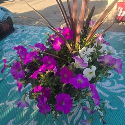Big pot of petunias