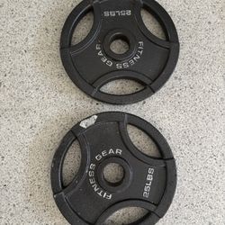 25lbs Fitness Gear Olympic Cast Plate Set Of 2