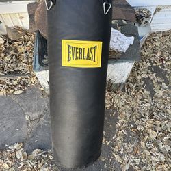 Everlast Boxing Bag 
