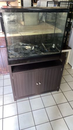 Fish tank with stand