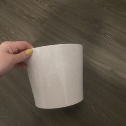 Plant Pot