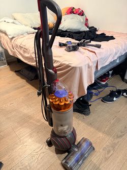 Dyson Ball Animal 3