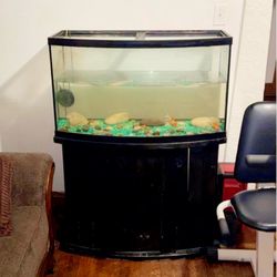Fish Tank And stand 