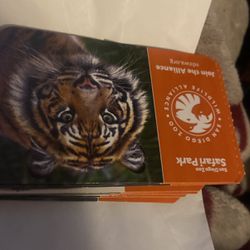 San Diego Zoo Child Ticket