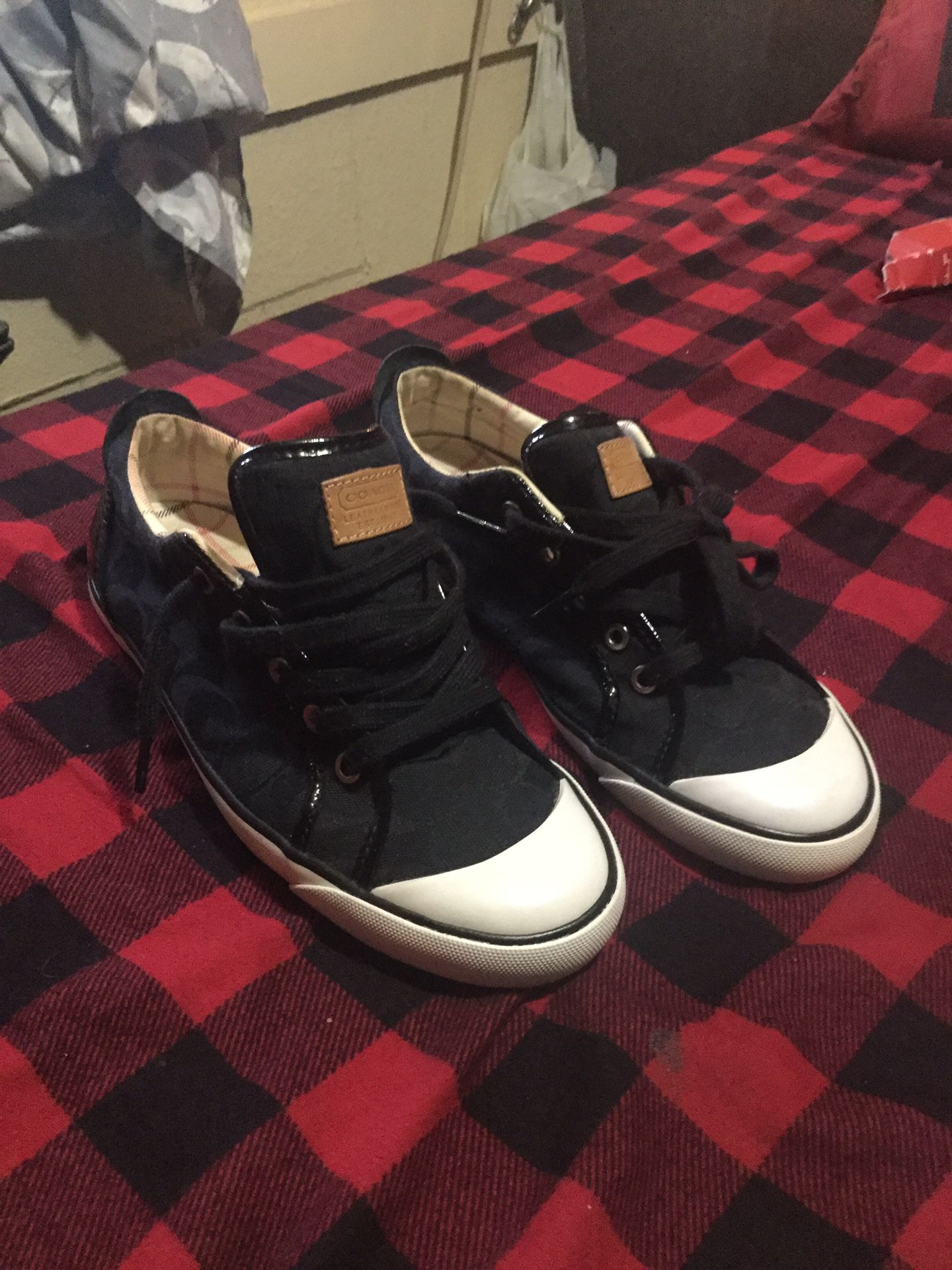 Coach sneakers (converse style)