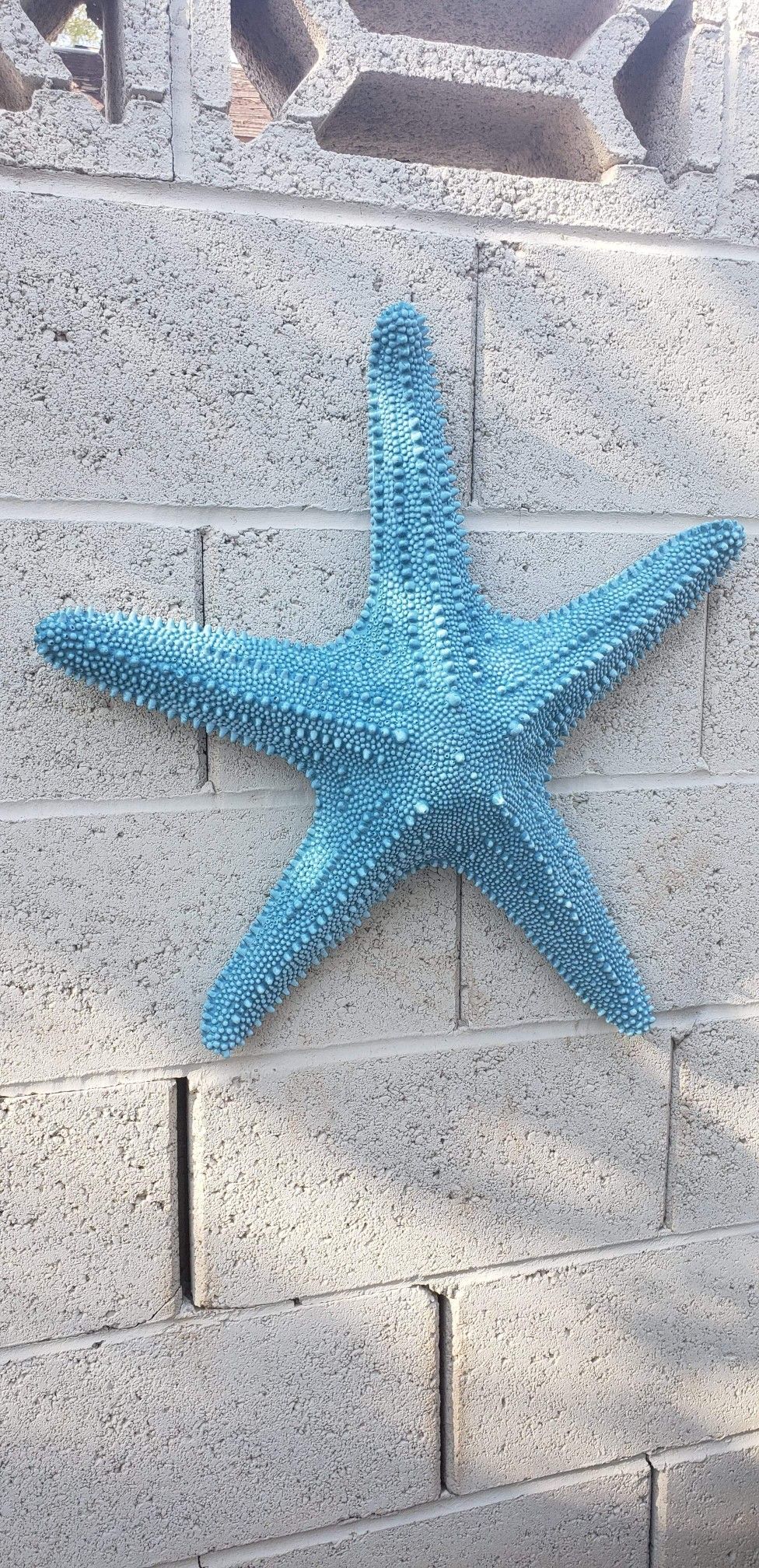 Starfish / Concrete wall decor