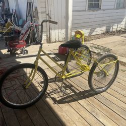 Armstrong 3 Wheel Bike