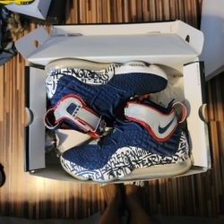 Lebron XVI Blue Graffiti Size 9.5 $150