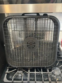 Fan