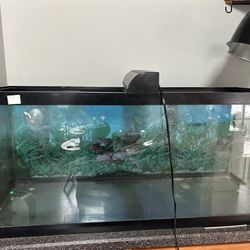 75 Gallon Fish/Turtle Tank $120 Obo