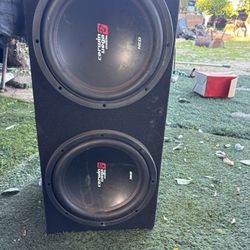 Rockville 12 in subwoofers 